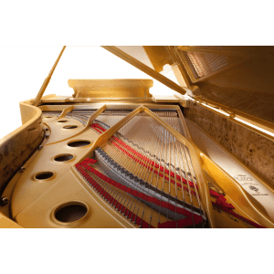 Fazioli 24K Gold Leaf Grand Piano - Golden Piano