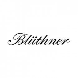 A black and white image of the word bluthner.