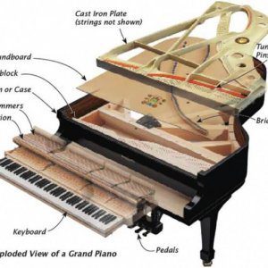 A diagram of an instrument showing the parts of it.