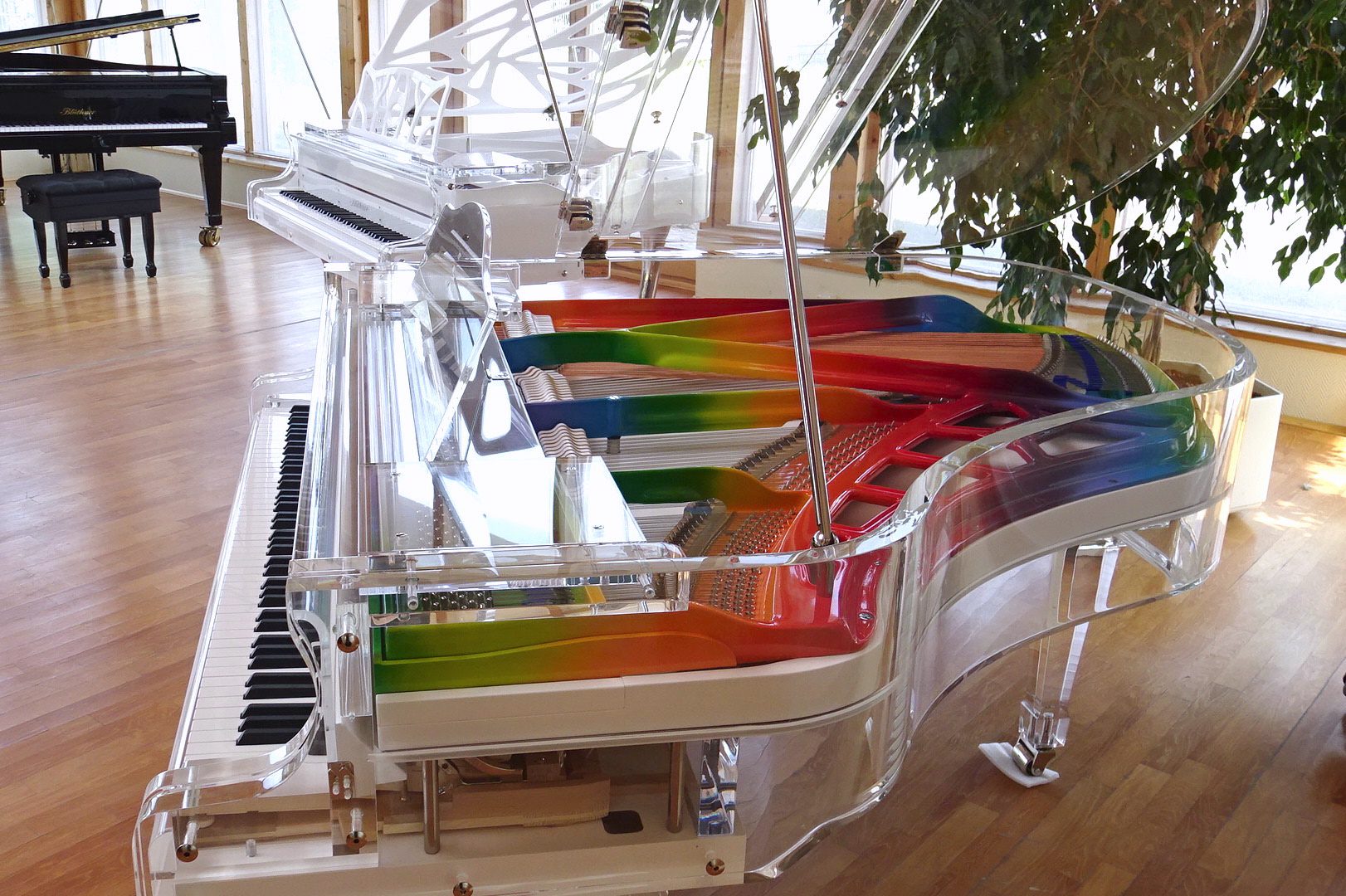 Lucid iDyllic Excellence Model 166 Rainbow